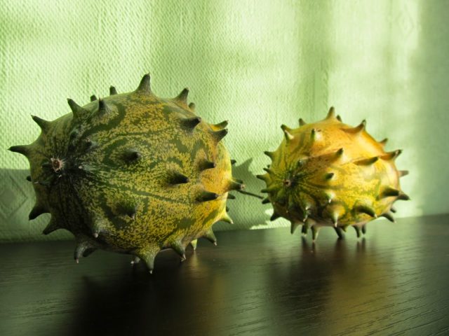 horned melon