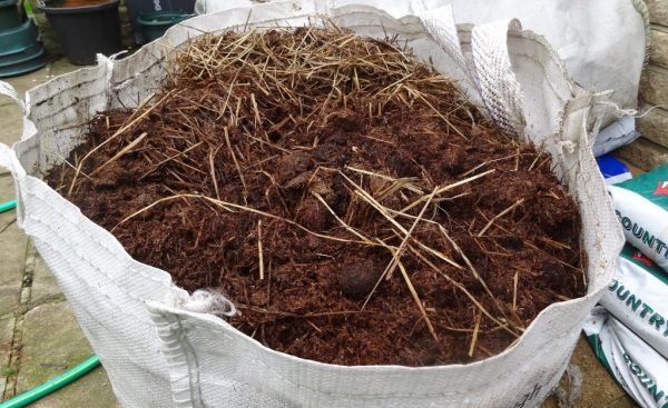 Horse manure as fertilizer: application