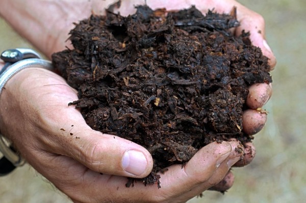 Horse manure as fertilizer: application