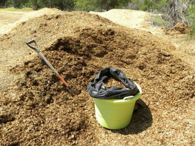 horse manure extract