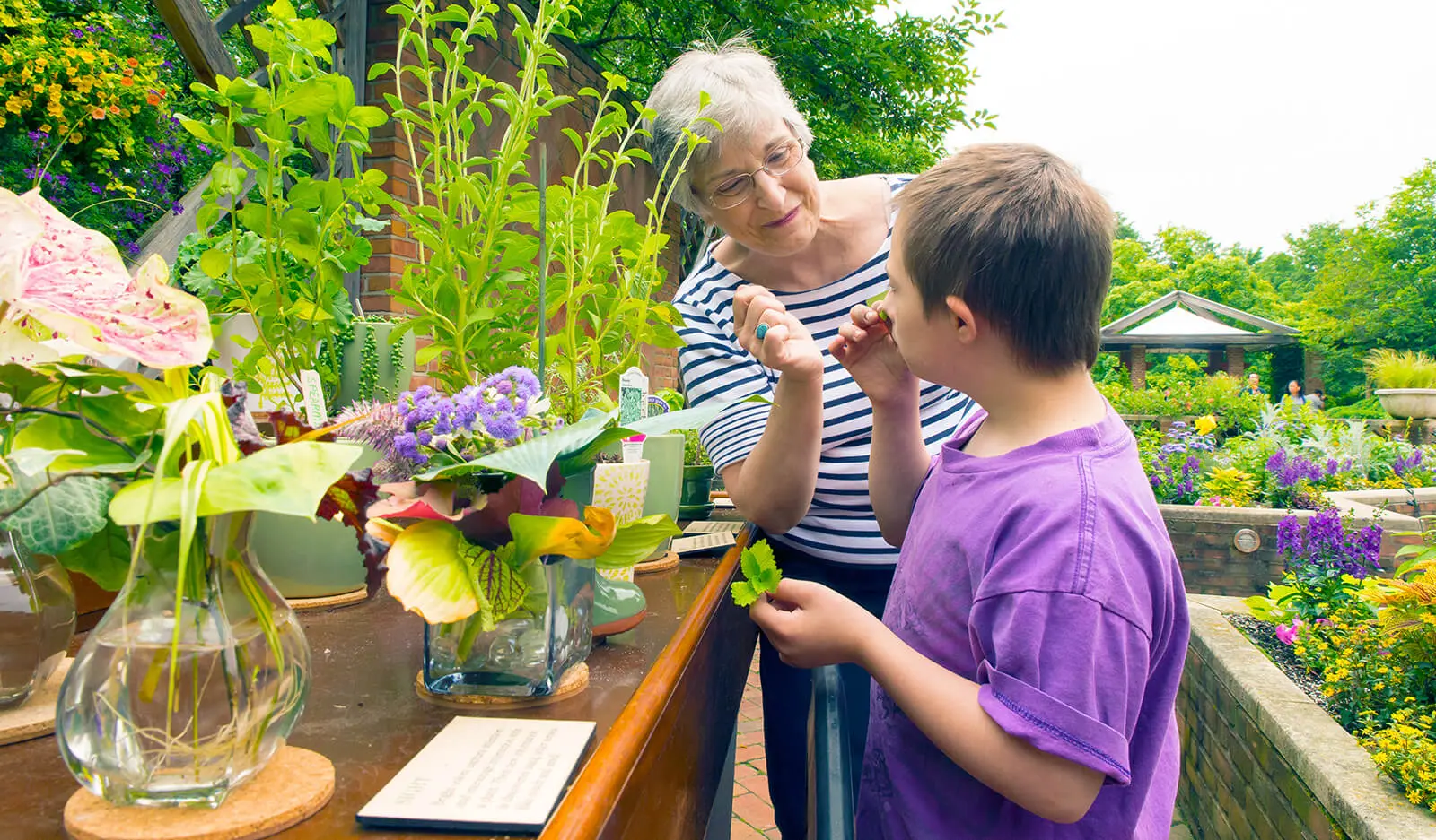 Hortitherapy