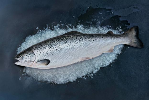 Hot and cold smoked salmon at home