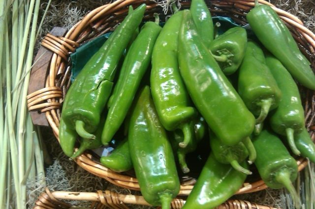 Hot pepper for the winter with oil: sunflower, vegetable, simple recipes for preservation and pickling