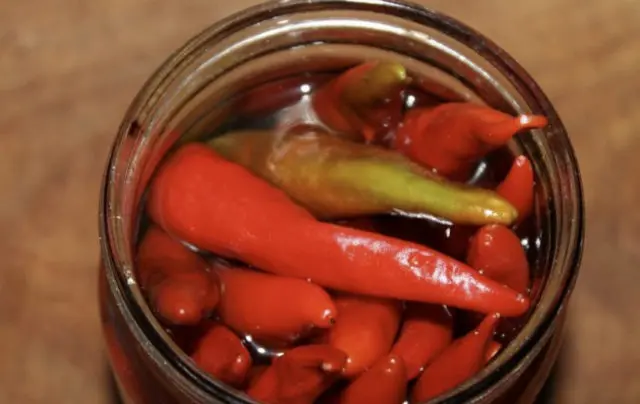 Hot pepper for the winter with oil: sunflower, vegetable, simple recipes for preservation and pickling