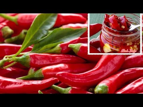 Hot pepper for the winter with oil: sunflower, vegetable, simple recipes for preservation and pickling