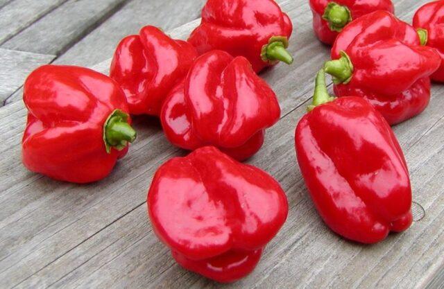 Hot pepper Habanero: description, photo, growing at home, how many scovilles, reviews