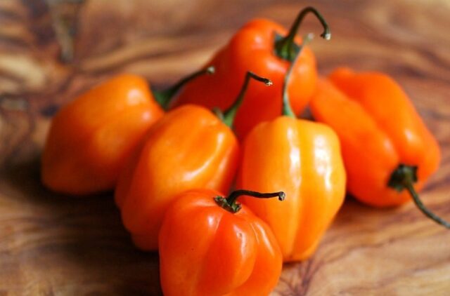 Hot pepper Habanero: description, photo, growing at home, how many scovilles, reviews