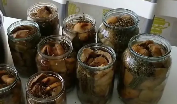 Hot salted mushrooms in jars and barrels