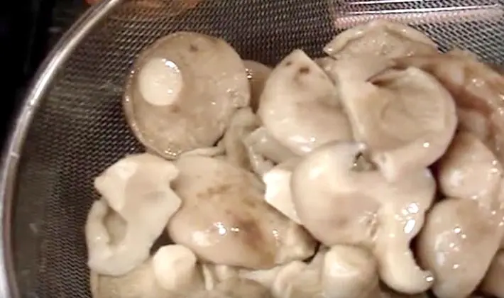 Hot salted mushrooms in jars and barrels