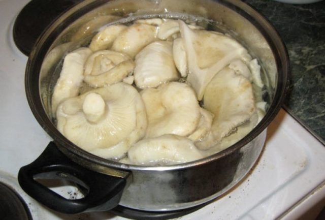 Hot salted white milk mushrooms: 12 salting recipes at home