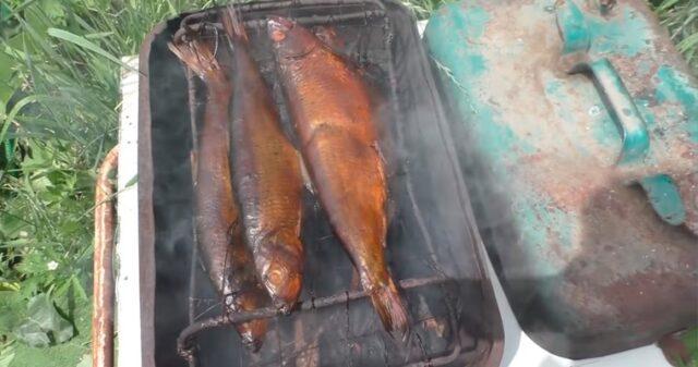 Hot smoked herring at home