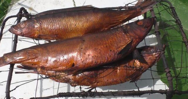 Hot smoked herring at home