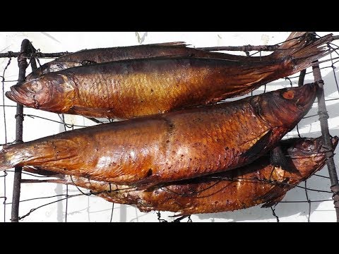 Hot smoked herring at home