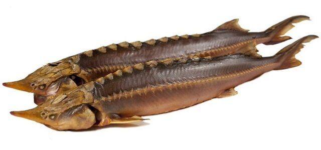 Hot smoked sturgeon: calories, benefits and harms, recipes with photos