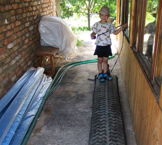 How and how to paint tires for a flower bed: interesting design ideas + photos