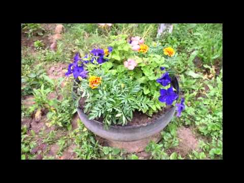 How and how to paint tires for a flower bed: interesting design ideas + photos