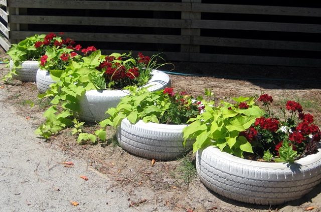 How and how to paint tires for a flower bed: interesting design ideas + photos