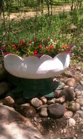 How and how to paint tires for a flower bed: interesting design ideas + photos