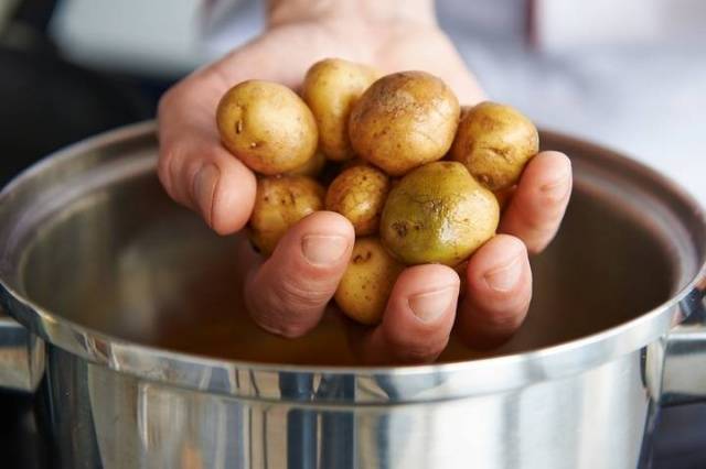 How and when to germinate potatoes for planting