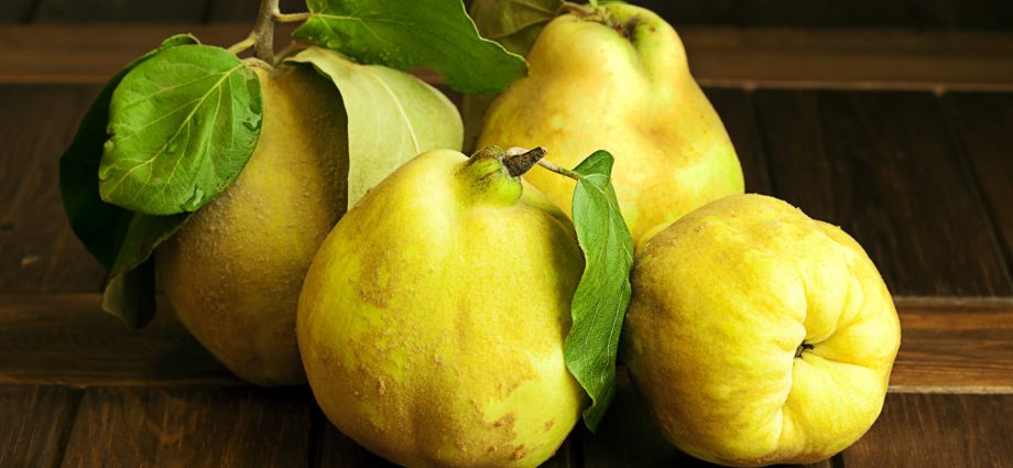 How are quince planted on pear, apple, mountain ash and other trees?