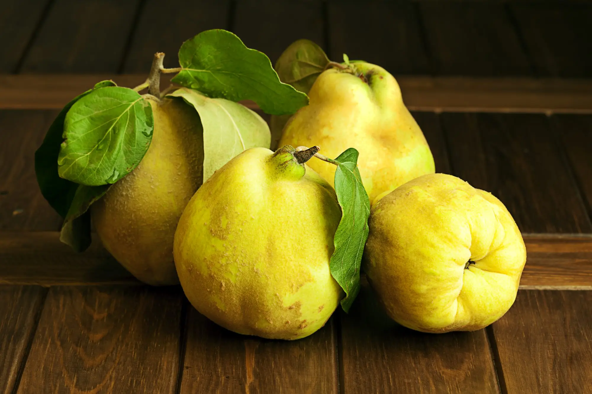 How are quince planted on pear, apple, mountain ash and other trees?