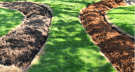 How beautiful it is to make beds in the garden + photo