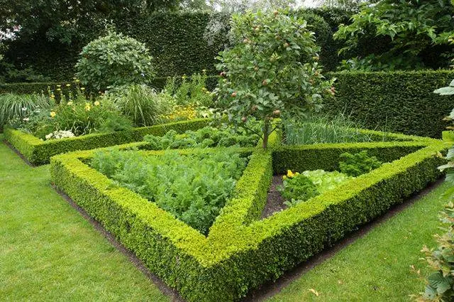 How beautiful it is to make beds in the garden + photo