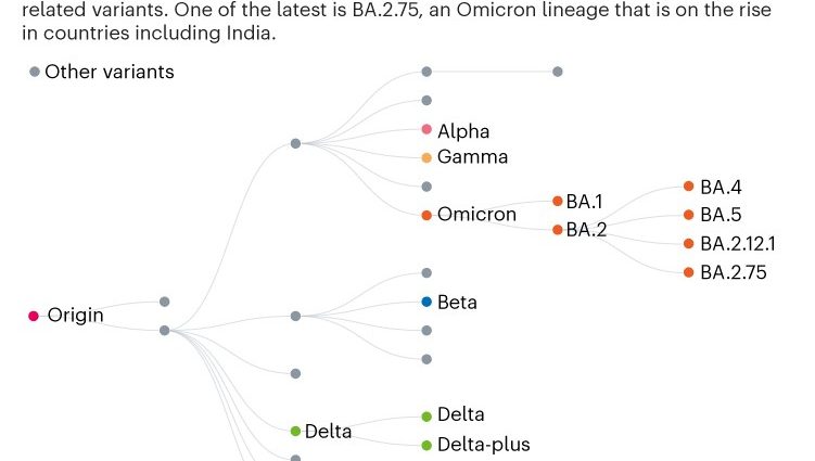 How contagious is the Centaurus mutation? There is new research