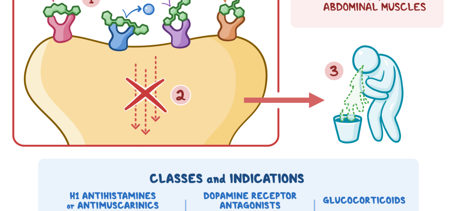 How do antiemetics work?