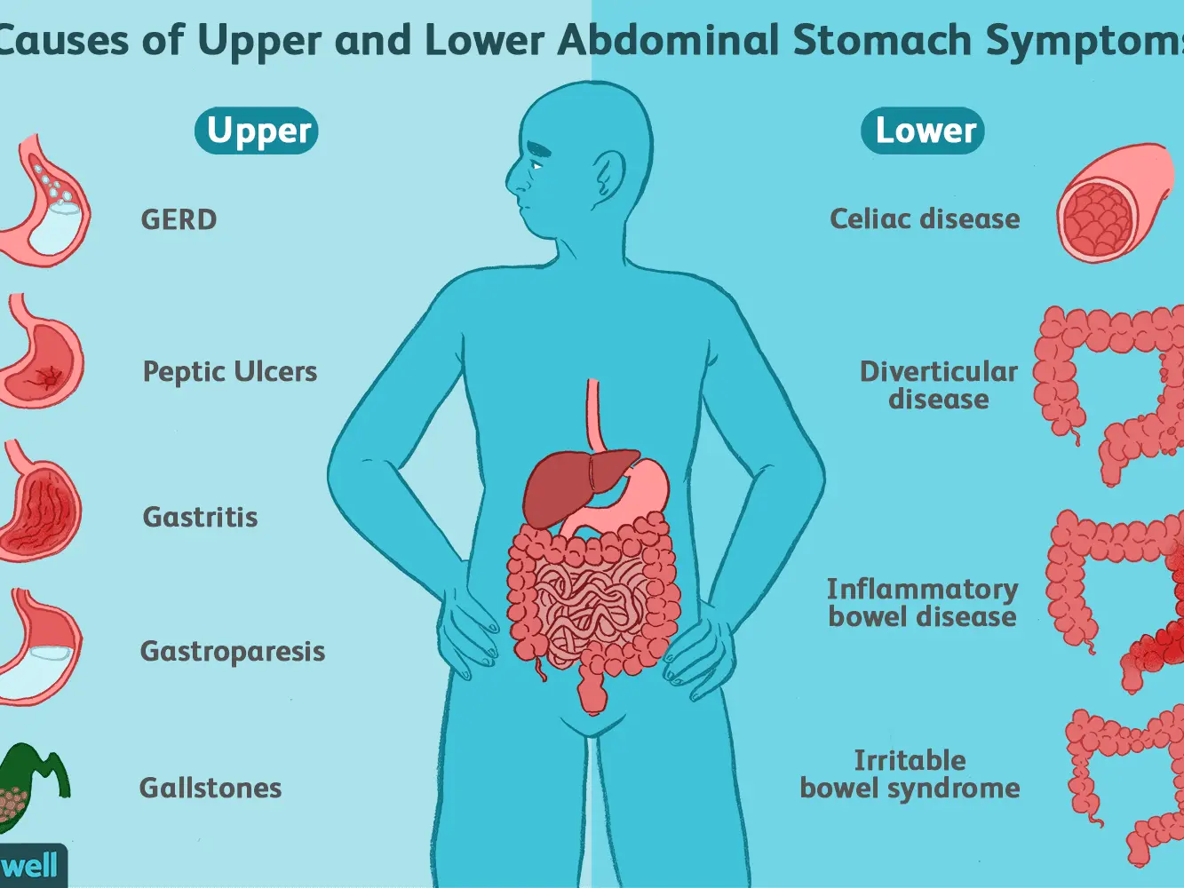 How do I know if my stomach is suffering? Here are signs that he is calling for help