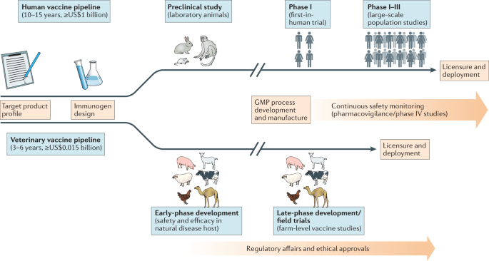 How do we &#8220;work&#8221; on neoplastic diseases? We can do much more to protect ourselves from them!