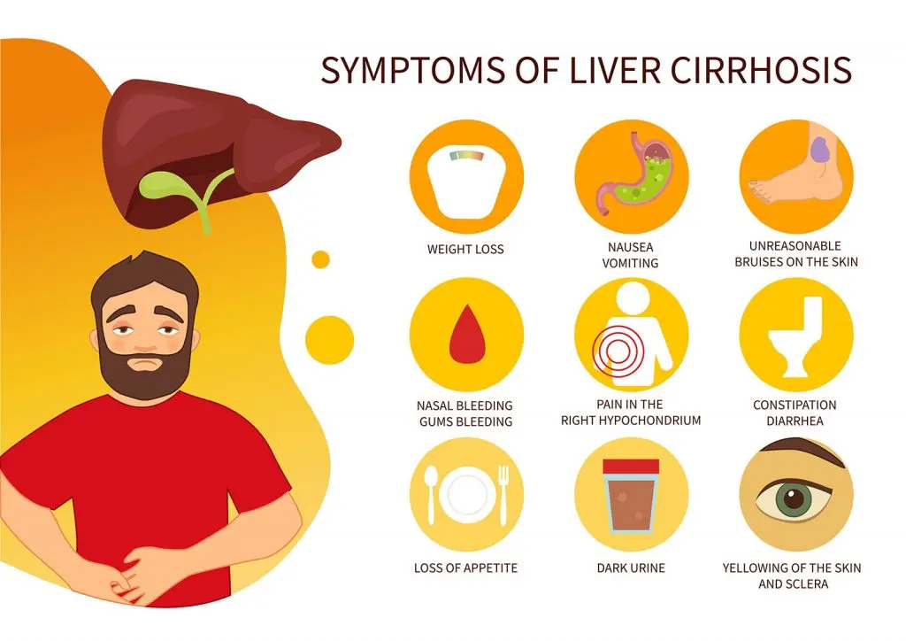 How do you know if your liver is barely healed?