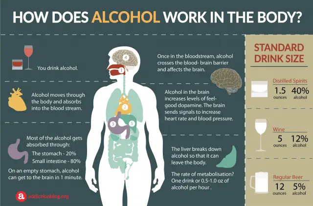 how-does-alcohol-affect-the-body-infographics-healthy-food-near-me