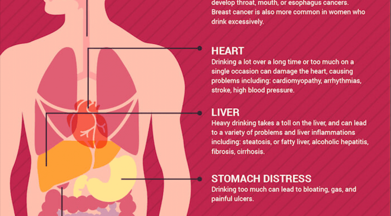 How does alcohol affect the body&#8217;s immunity? [WE EXPLAIN]