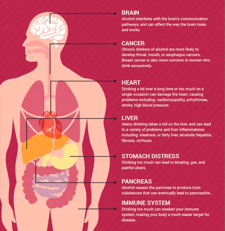 How does alcohol affect the body&#8217;s immunity? [WE EXPLAIN]