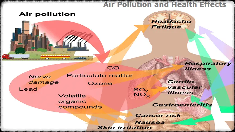 How does bad air quality affect our health?