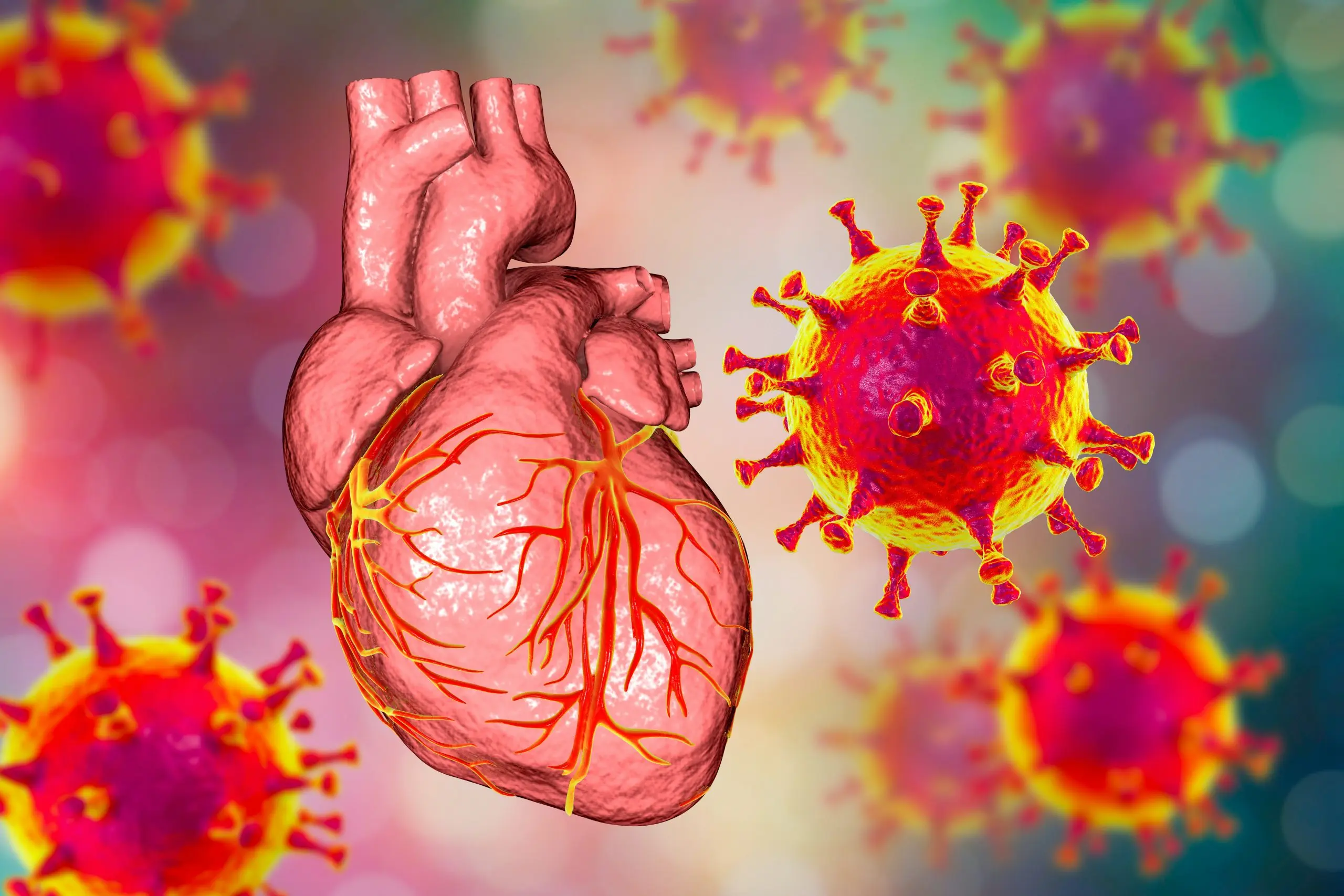 How does COVID-19 destroy the heart? More and more is known about the harmful effects