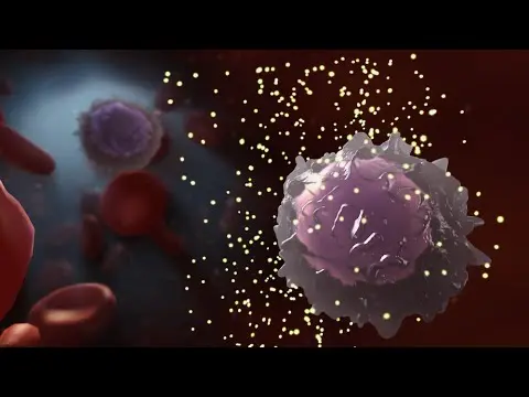 How does HIV get infected? The attack lasts 2 hours. Watch the video