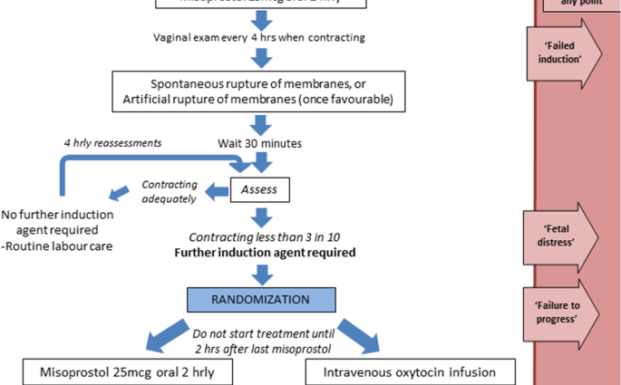 How does misoprastol work on the body? Misoprastol and induction of labor