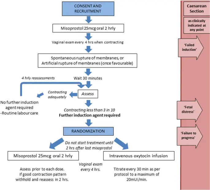 How does misoprastol work on the body? Misoprastol and induction of labor