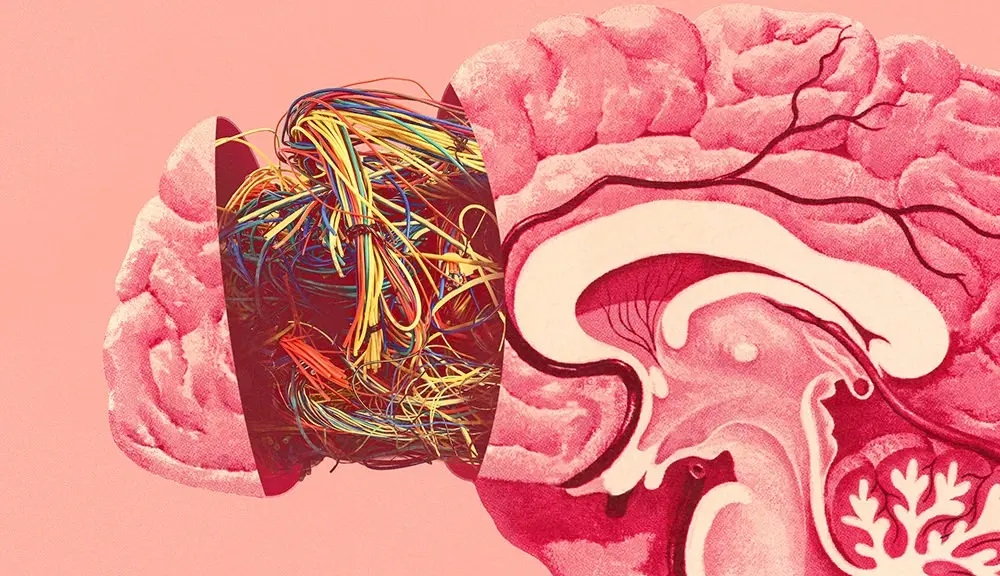 How does porn change a man&#8217;s brain and tastes?