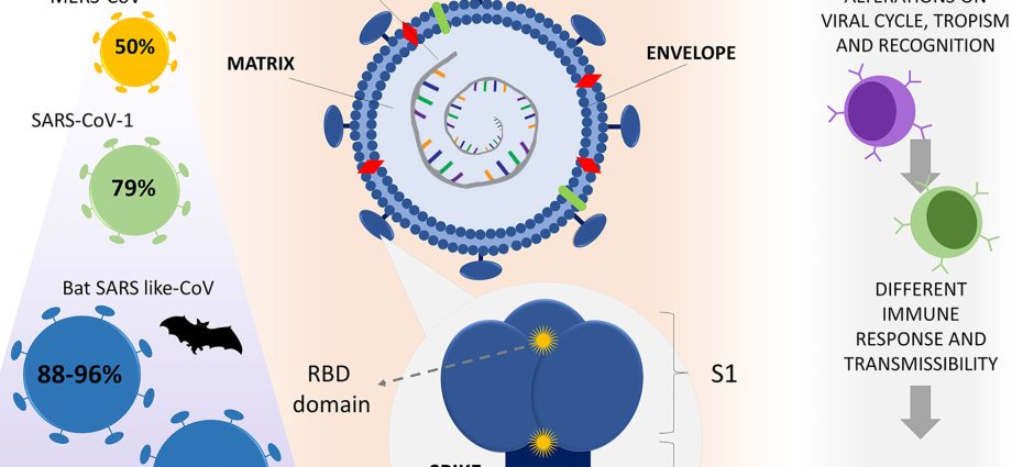 How does vitamin D deficiency affect COVID-19? A disturbing discovery from Israel