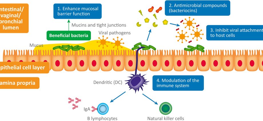 How does warming affect viruses and bacteria? An expert answers [EXPLAIN]