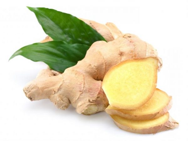 How ginger grows, as well as features of care and storage