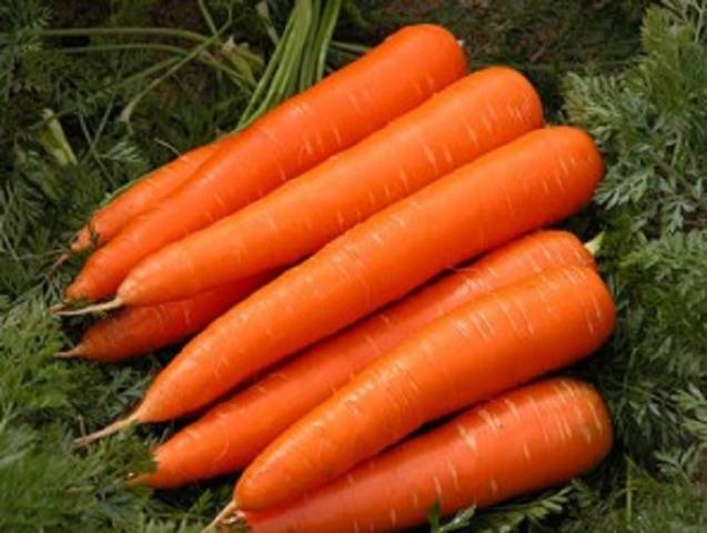 How long can you keep carrots in the fridge 