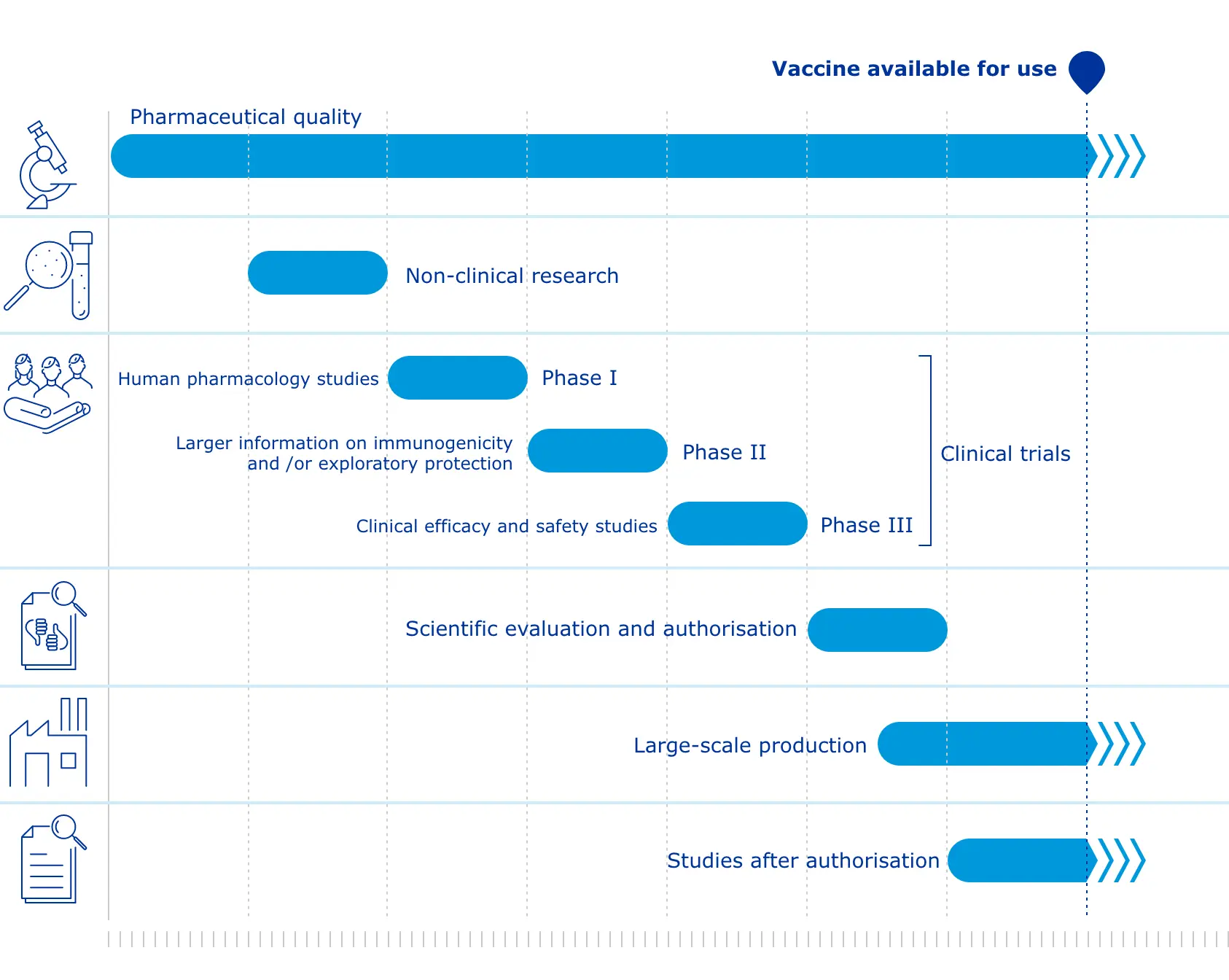 How long do vaccines protect against COVID-19? A new study checks several connections