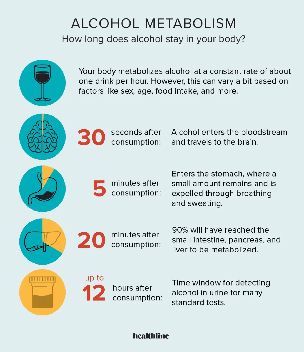 How long does alcohol stay in the body when drunk? What happens after 5 minutes, an hour and 8 hours?