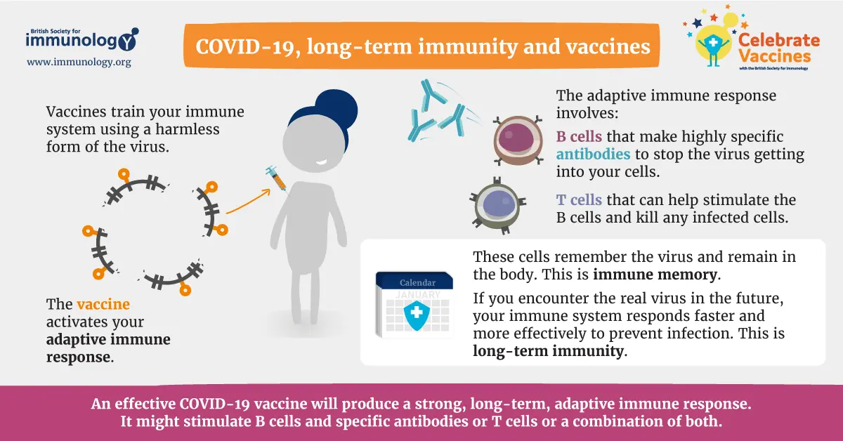 How long does immunity last from COVID-19 vaccines? [WE EXPLAIN]