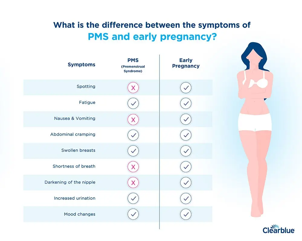 How long is the period? &#8211; menstrual cycle, duration, PMS