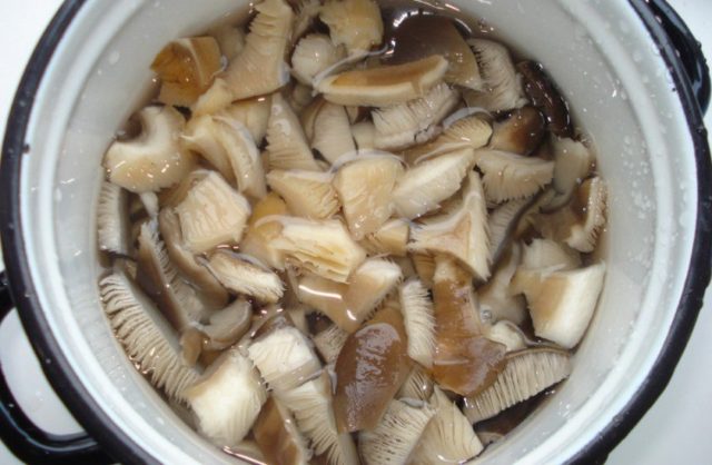 How long to cook oyster mushrooms until tender